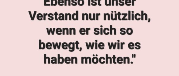 FREUDE des Tages 27.05.2025