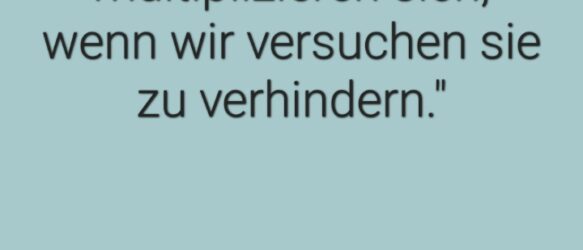 FREUDE des Tages 03.07.2025